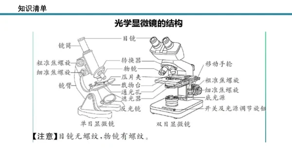 人教版生物七年级上册第一单元《生物与细胞》单元复习课件(共53张PPT)