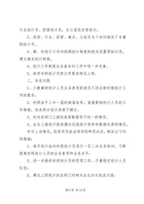 乡镇统计自检自查报告.docx