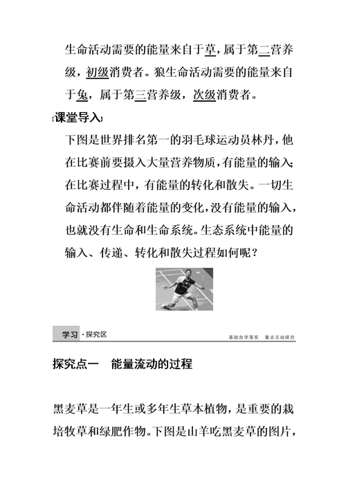 生态系统的能量流动导学案