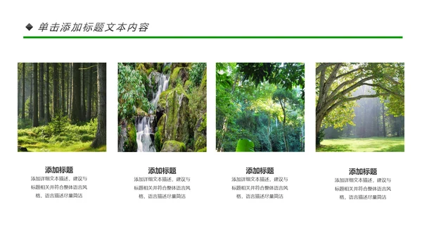 绿色环保世界湿地森林日动态PPT模板