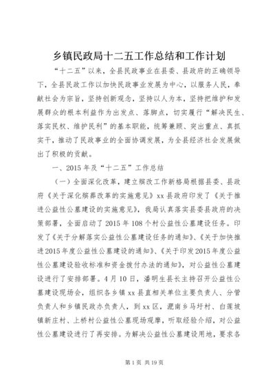 乡镇民政局十二五工作总结和工作计划.docx