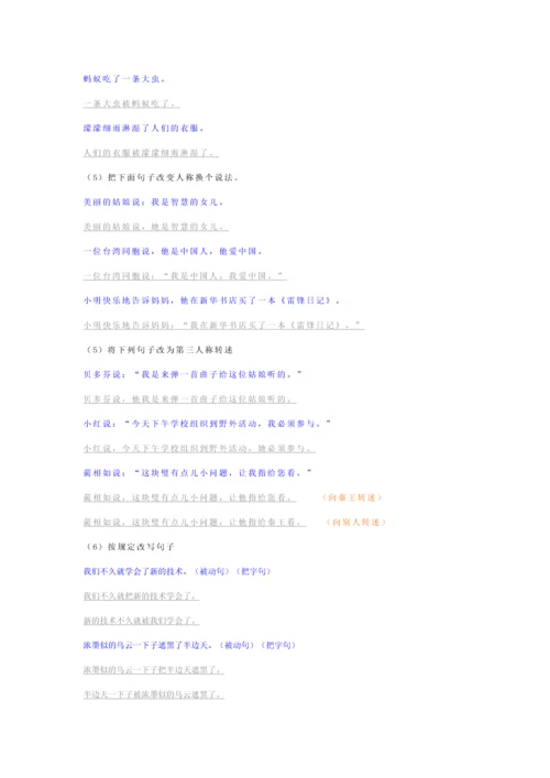 2023年小升初语文专项复习句子精编习题.docx