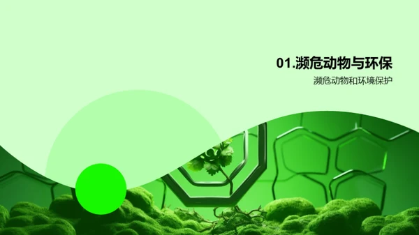 3D风其他行业教学课件PPT模板