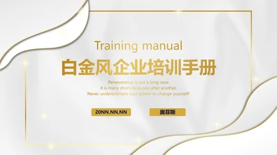 白金丝绸纹理奢华PPT模板