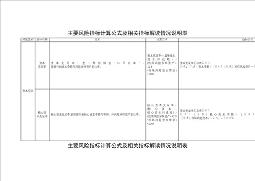 主要风险指标计算公式及相关指标解读情况说明表