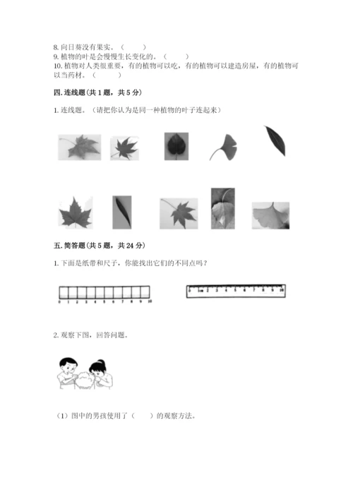 教科版一年级上册科学期末测试卷及答案【最新】.docx