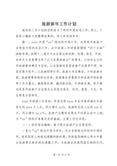 旅游新年工作计划.docx