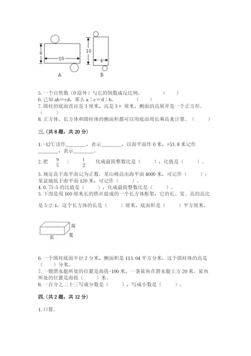 人教版小升初数学模拟试卷（实用）.docx