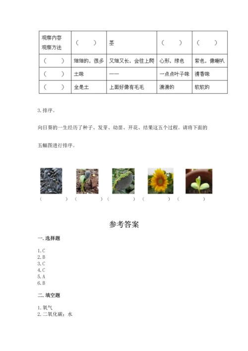 教科版科学一年级上册第一单元《植物》测试卷含完整答案【夺冠系列】.docx