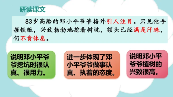 第4课 《邓小平爷爷植树》（教学课件）