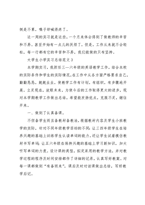 大学生小学实习总结范文(共28页)