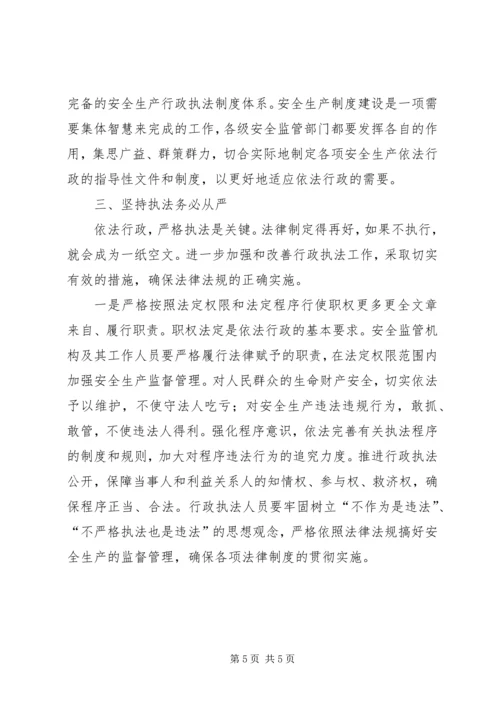 安全生产行政执法调研报告.docx