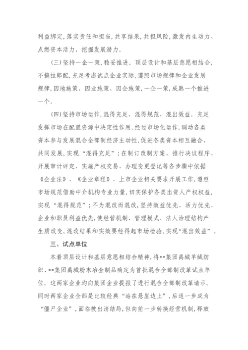 公司混合所有制改革试点工作专业方案.docx