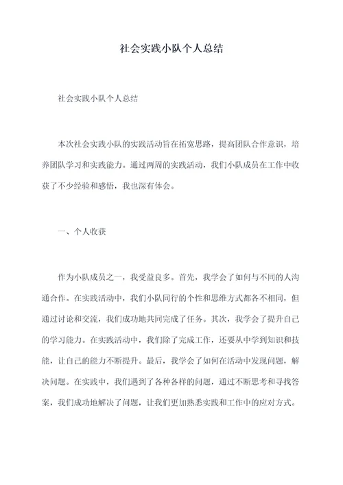 社会实践小队个人总结