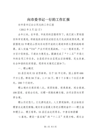 向市委书记一行的工作汇报 (4).docx