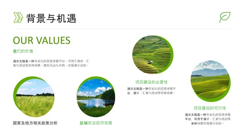绿色简约风农业PPT模板