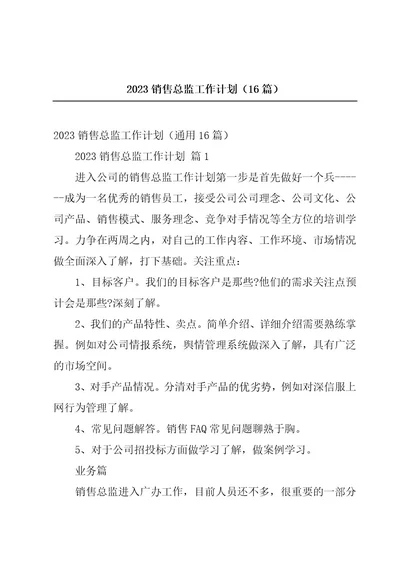 2023销售总监工作计划（16篇）