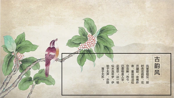武术跆拳道空手道比赛PPT