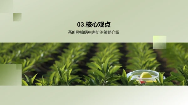 茶园病虫害科学防治