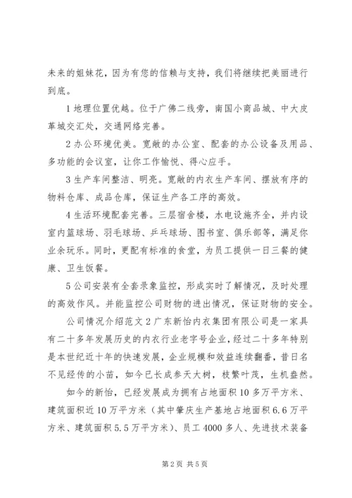 公司情况介绍范文.docx