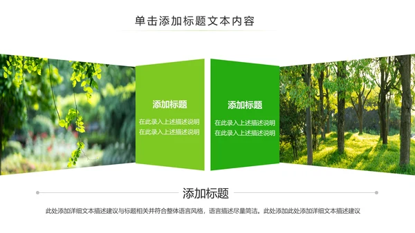 绿色环保森林湿地环境保护生态森林业PPT模板