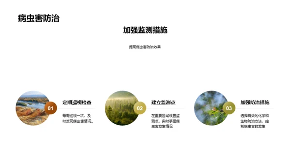 葡萄种植提效策略