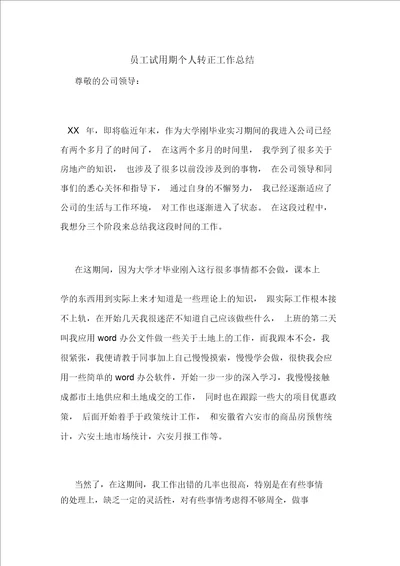 员工试用期个人转正工作总结