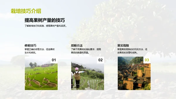 高效果园：种植与增益指南