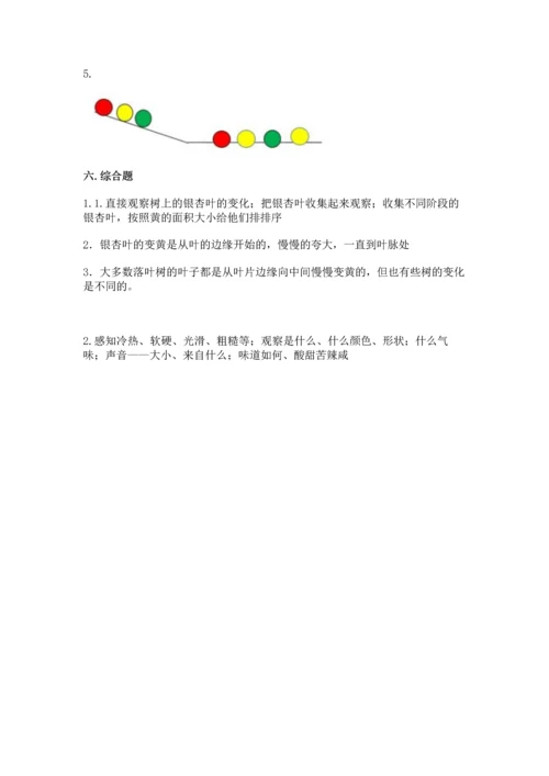 苏教版一年级上册科学 期末测试卷附答案（满分必刷）.docx