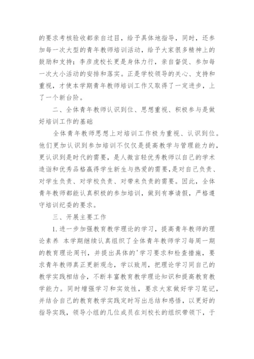 指导青年教师工作总结_2.docx