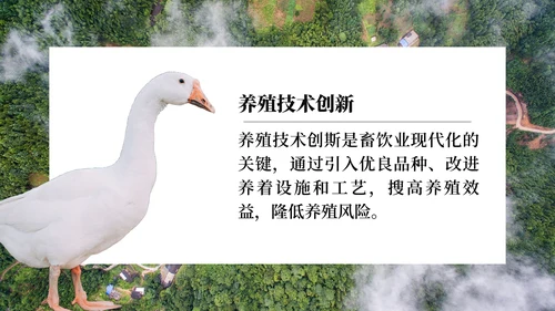 建设新农村乡村振兴战略规划通用PPT模板