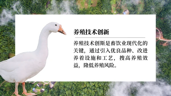 建设新农村乡村振兴战略规划通用PPT模板