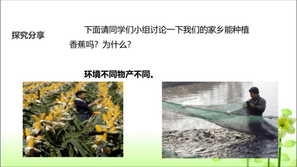 第14课 家乡物产养育我 课件 人教版道德与法治 二年级上册