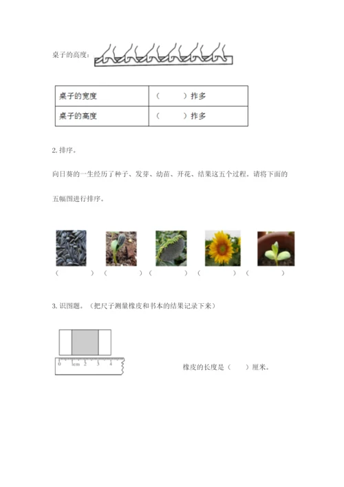 教科版一年级上册科学期末测试卷精品（基础题）.docx