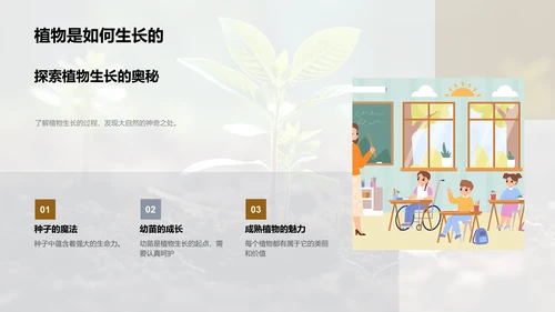 探索植物成长