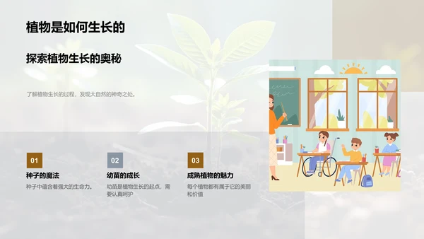 探索植物成长