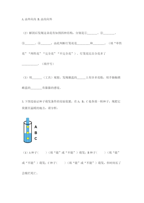 科学四年级下册第一单元《植物的生长变化》测试卷及参考答案（能力提升）.docx