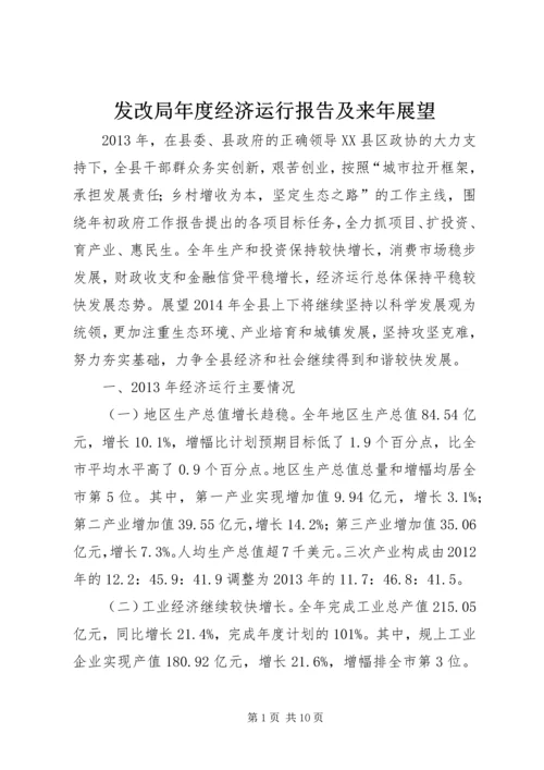发改局年度经济运行报告及来年展望.docx