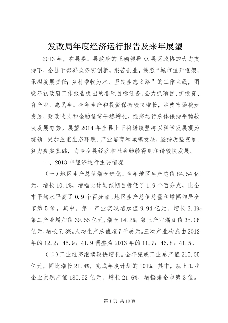 发改局年度经济运行报告及来年展望.docx