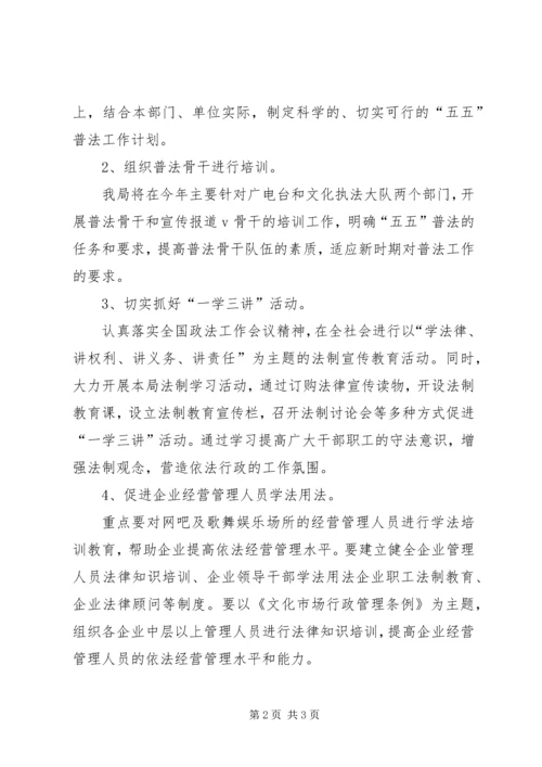 文化局年普法工作计划 (5).docx