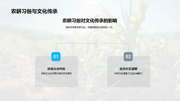 夏至农耕与科技融合