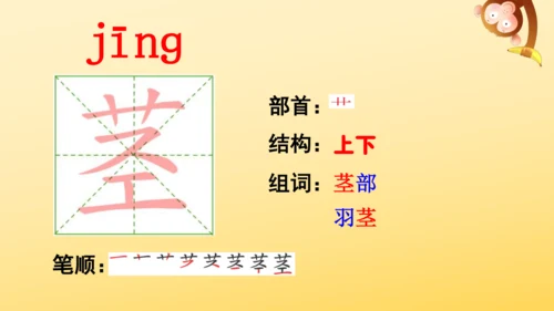10 爬山虎的脚   课件