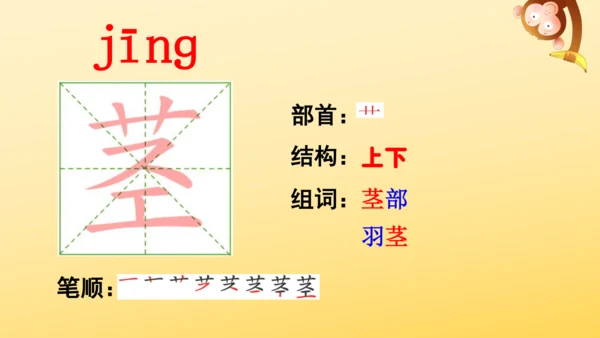 10 爬山虎的脚   课件
