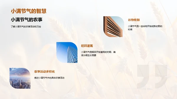 节气小满与农业