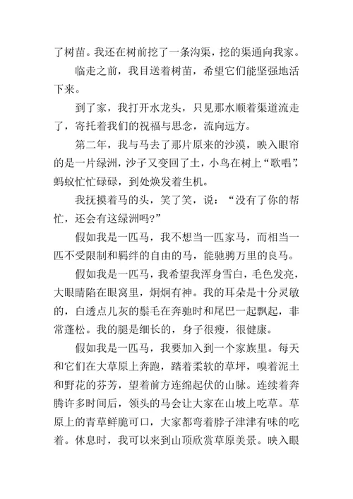 假如我有一匹马作文300字小学作文