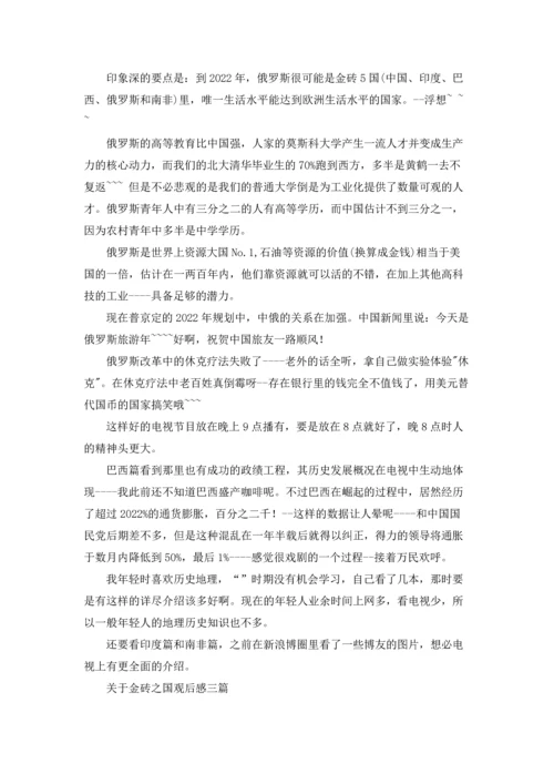 关于金砖之国观后感三篇.docx