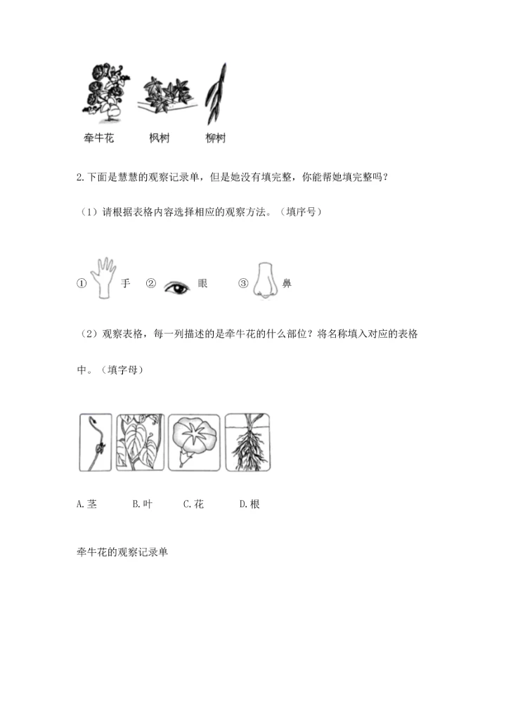 教科版科学一年级上册期末测试卷及参考答案（轻巧夺冠）.docx