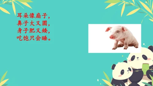 19大象的耳朵  课件