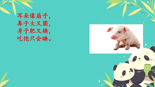19大象的耳朵  课件