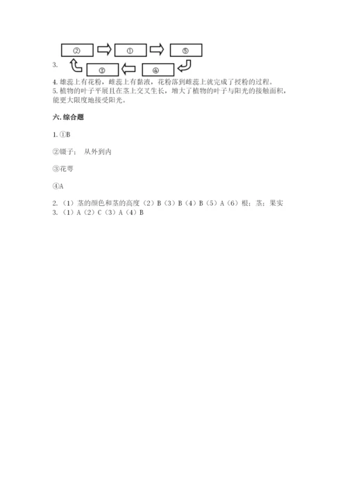 科学四年级下册第一单元植物的生长变化测试卷（培优b卷）.docx